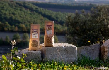 L’ecologia gastronòmica de l’Hort del Silenci