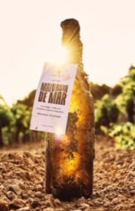 Malvasia
