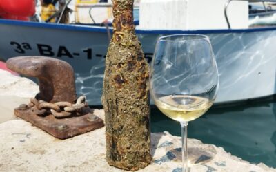 Malvasia - El Gourmet Català 3 Malvasia