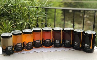 Mel de Ribes - El Gourmet Català 3 Mel de Ribes