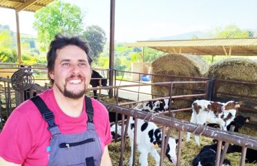 La llet ecològica de vaca de Can Roger